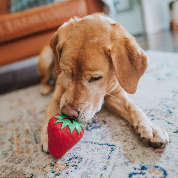 Strawberry Dispenser Toy