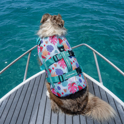 Miami Swim Jacket - Miami