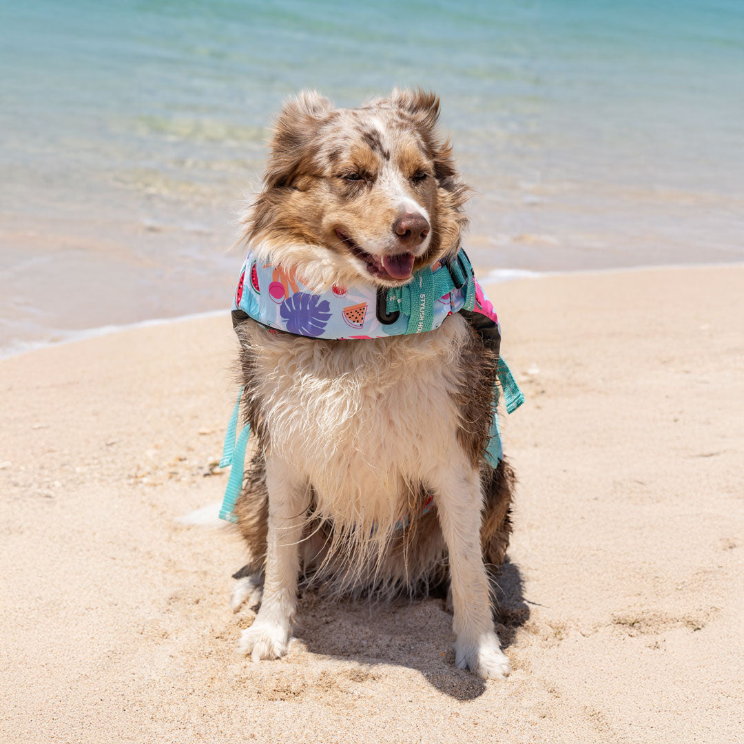 Miami Swim Jacket - Miami