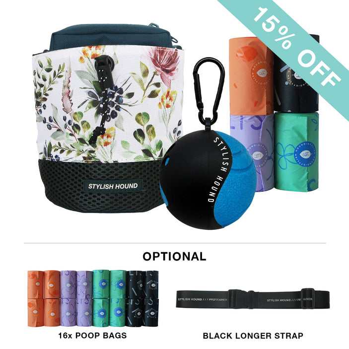 Train n' Treat Kit - Evergreen