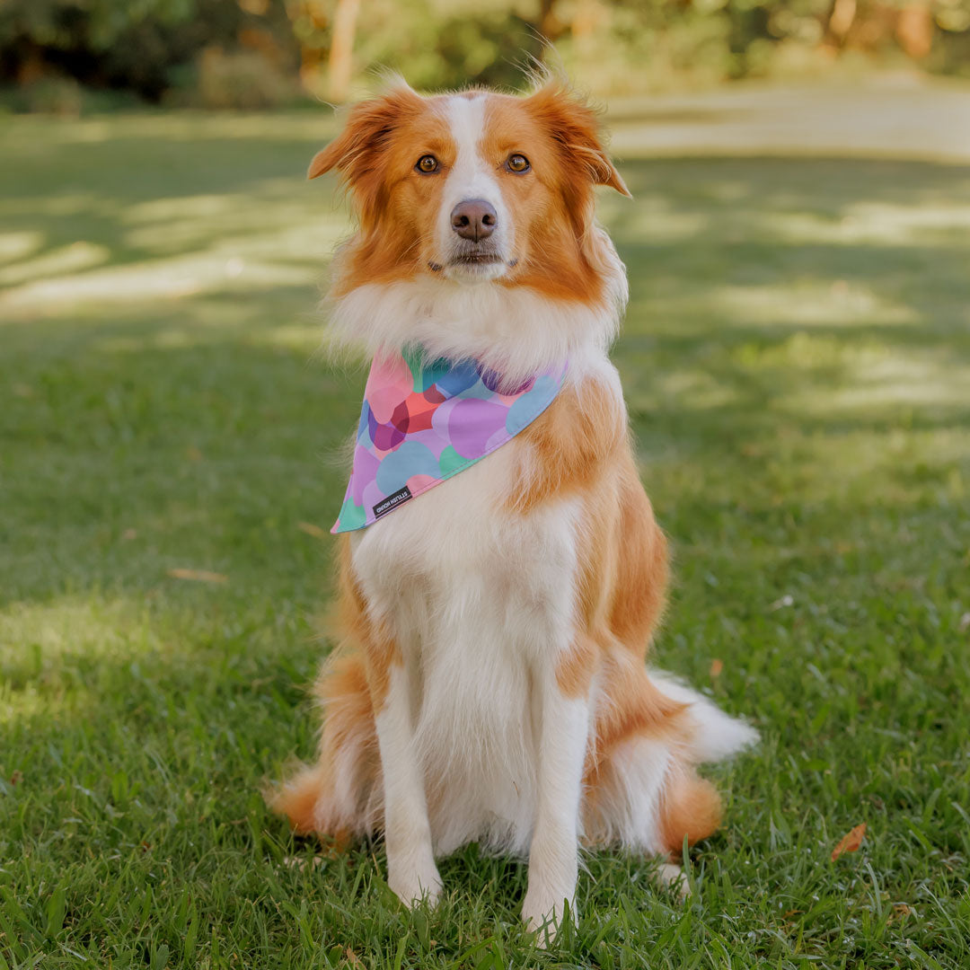 Atlas Bandana - Atlas