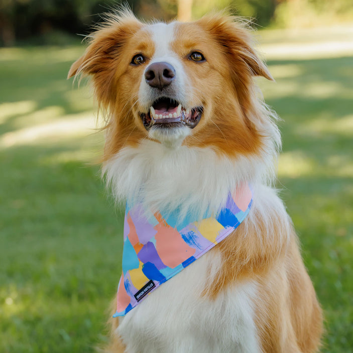 Chrome Bandana