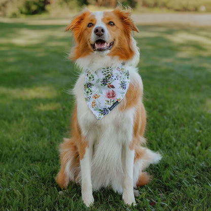 Evergreen Bandana - Evergreen