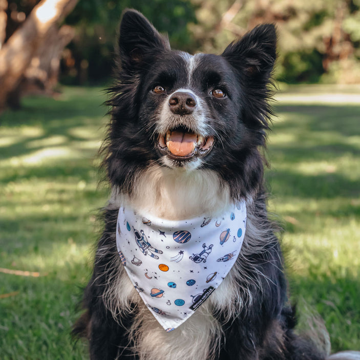 Ground Control Bandana