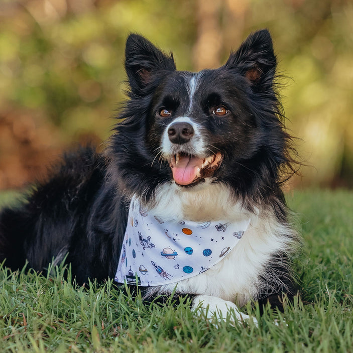 Ground Control Bandana