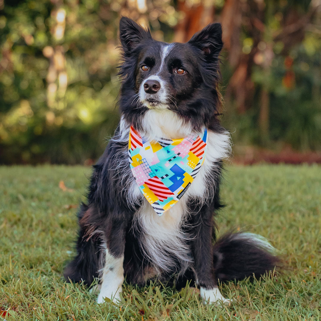 Milano Bandana - Milano