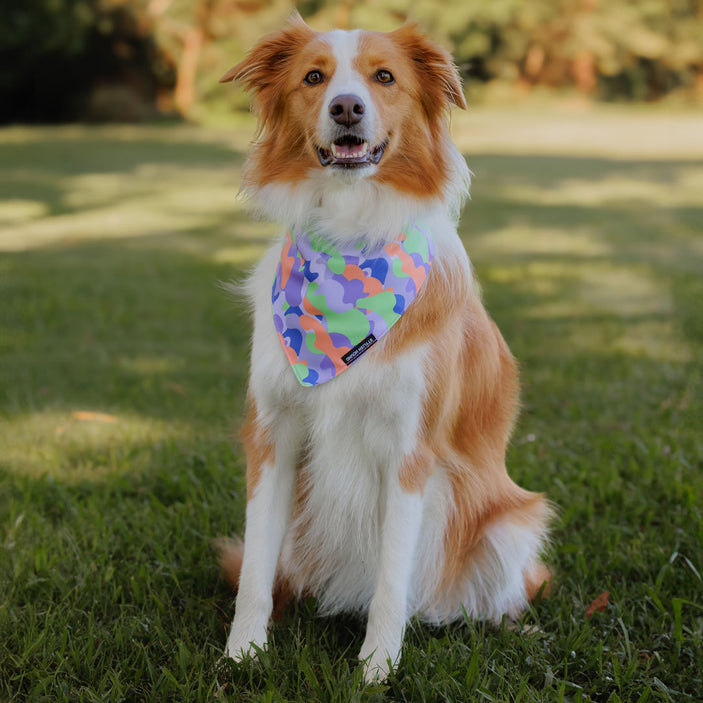 Luna Bandana