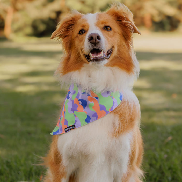 Luna Bandana