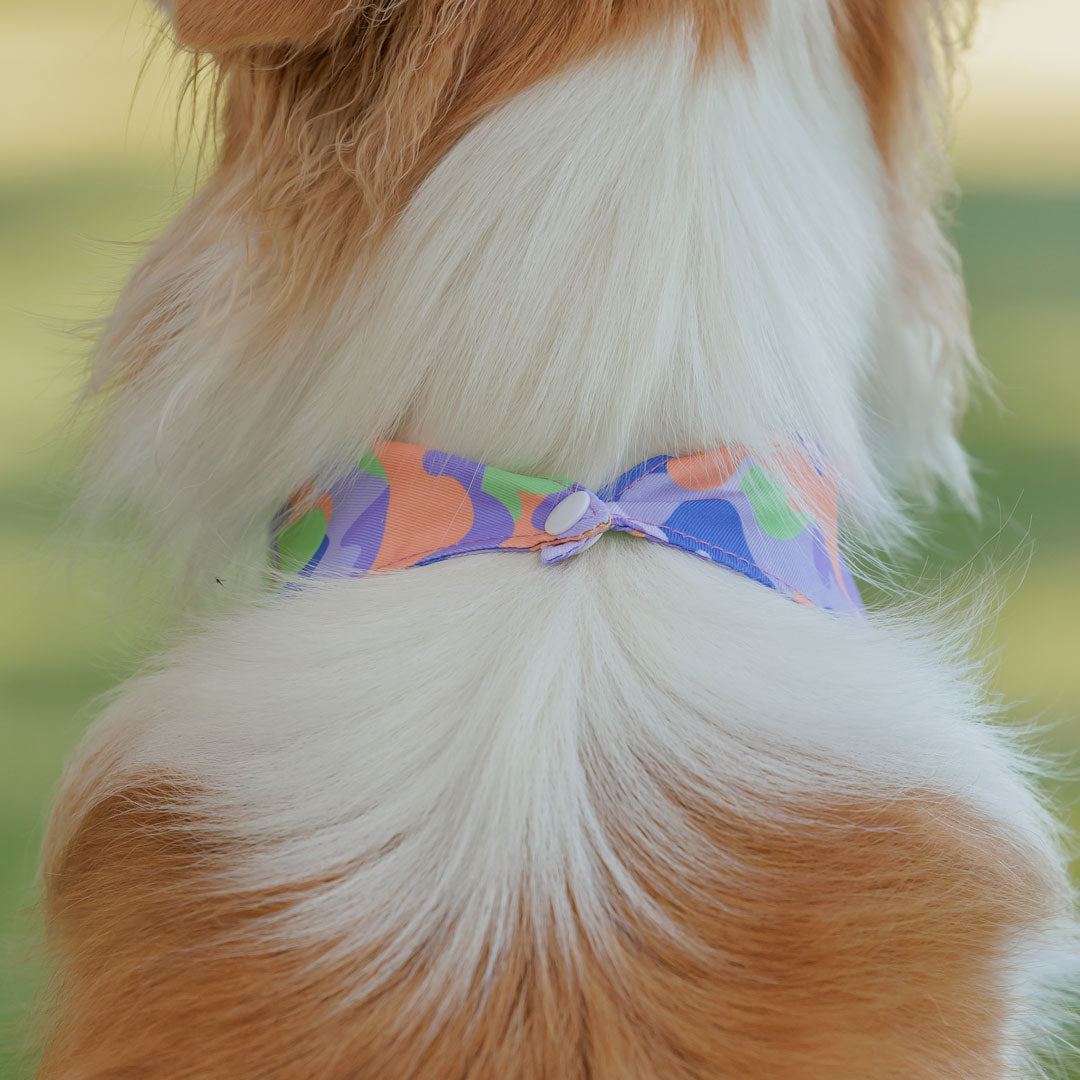 Bandana - SALE
