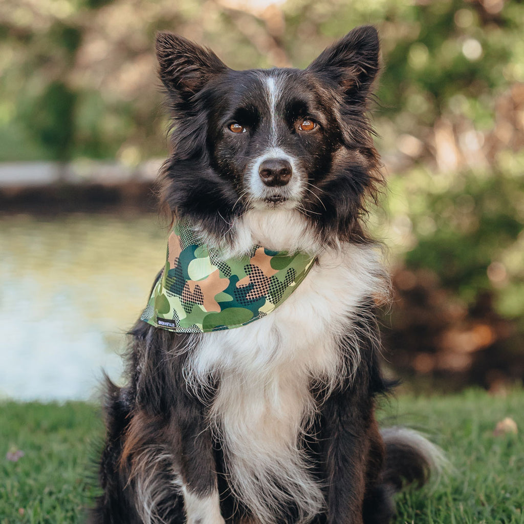 On Duty Bandana - On Duty
