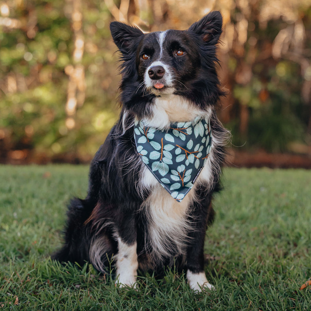 Woodland Bandana - Woodland