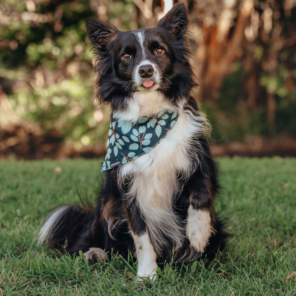 Woodland Bandana - Woodland