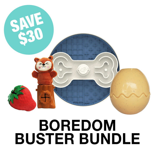Boredom Buster Bundle