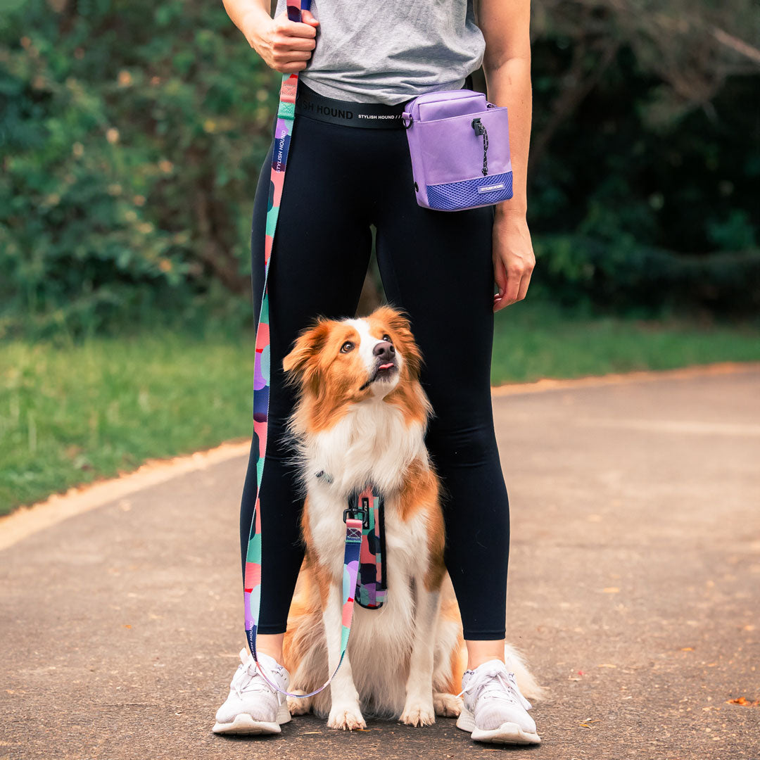 Train n' Treat Pouch