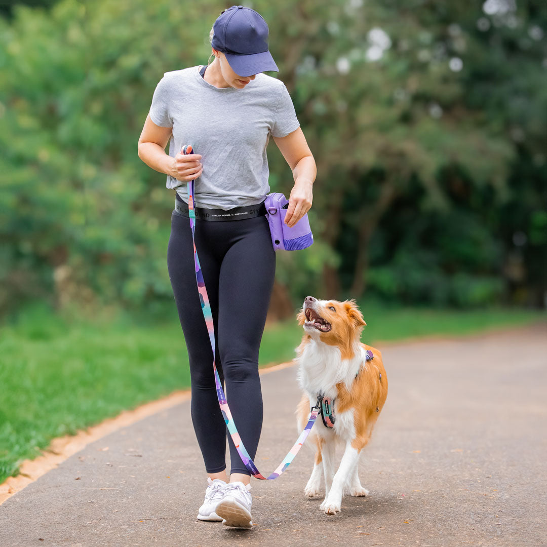 Train n' Treat Pouch
