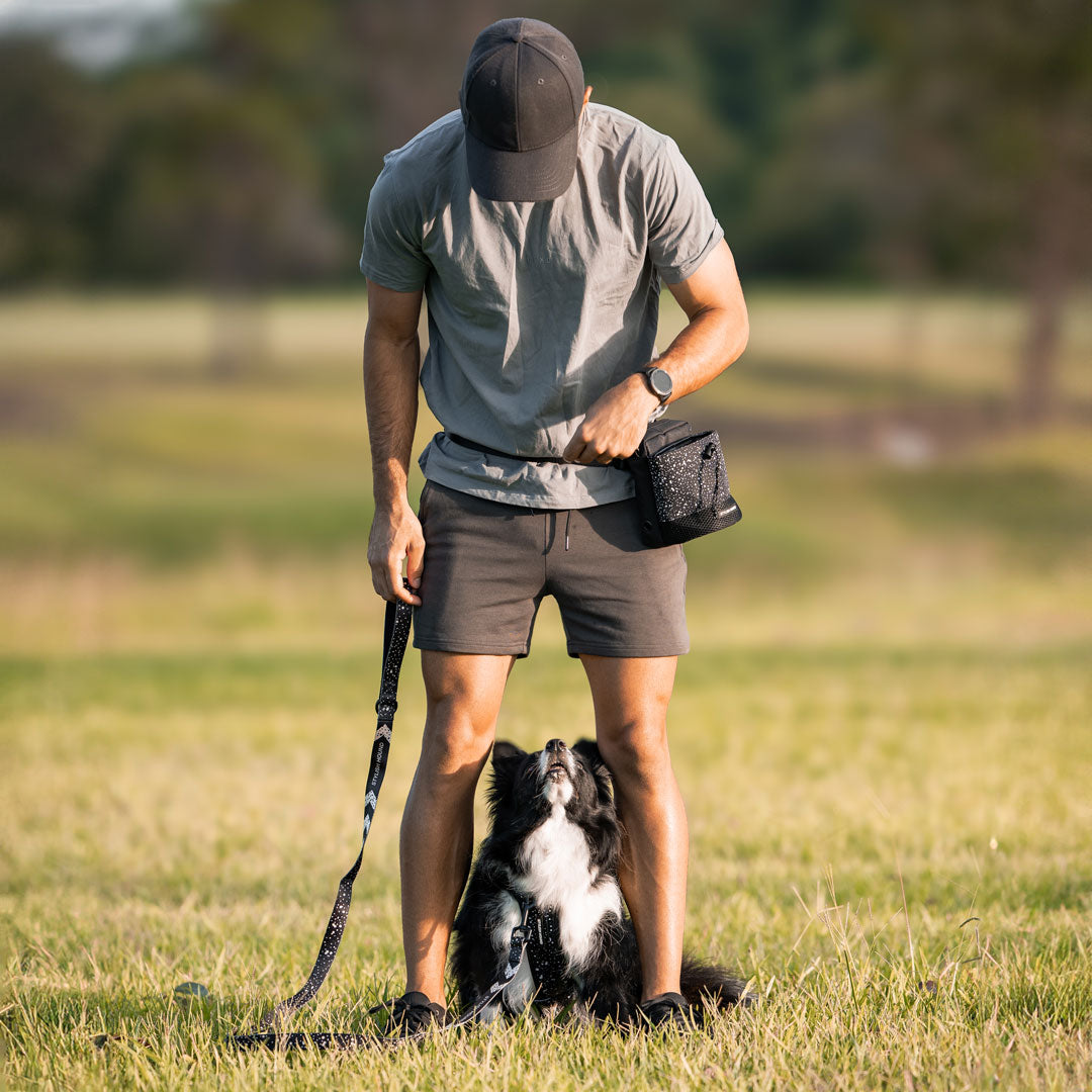 Train n' Treat Pouch