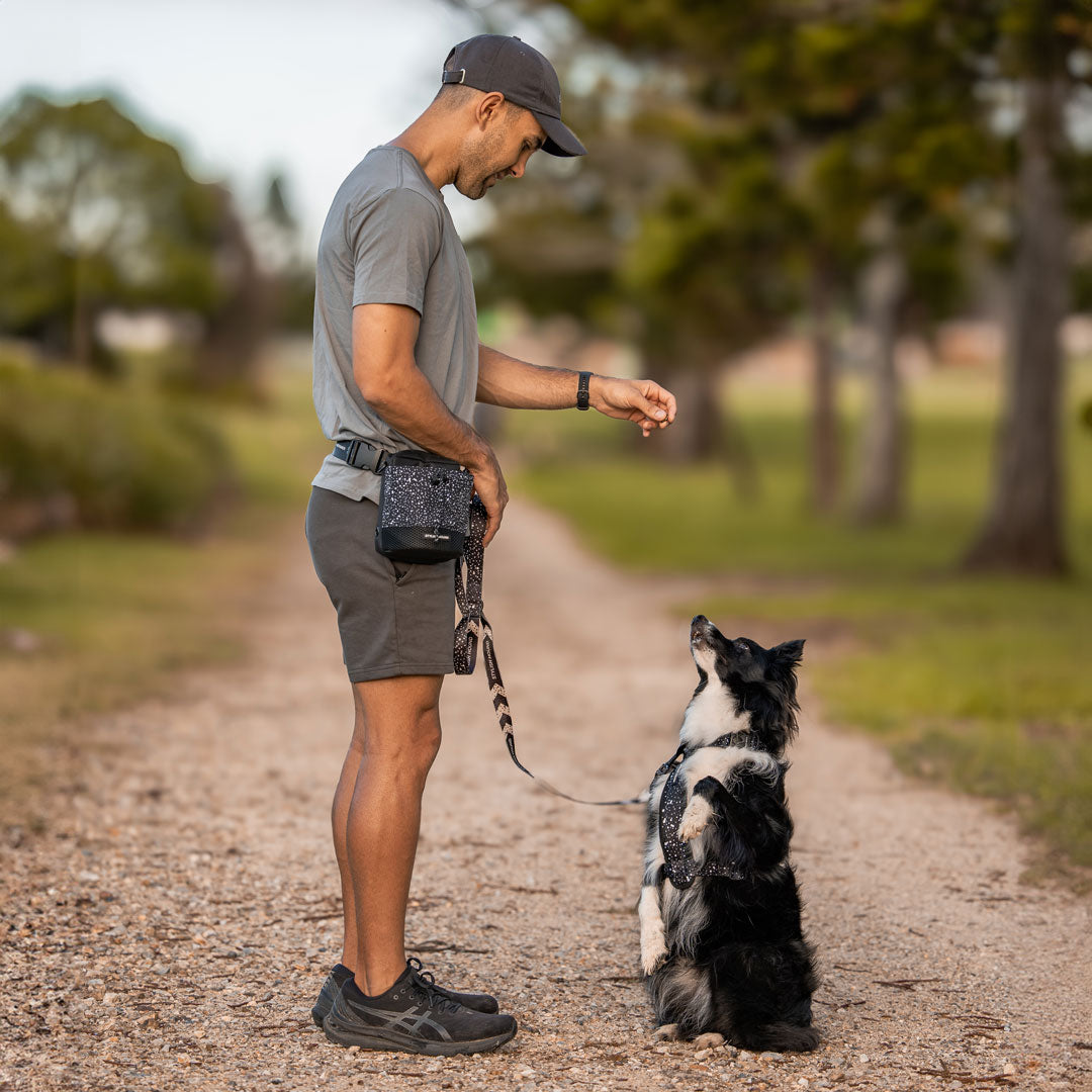 Train n' Treat Pouch