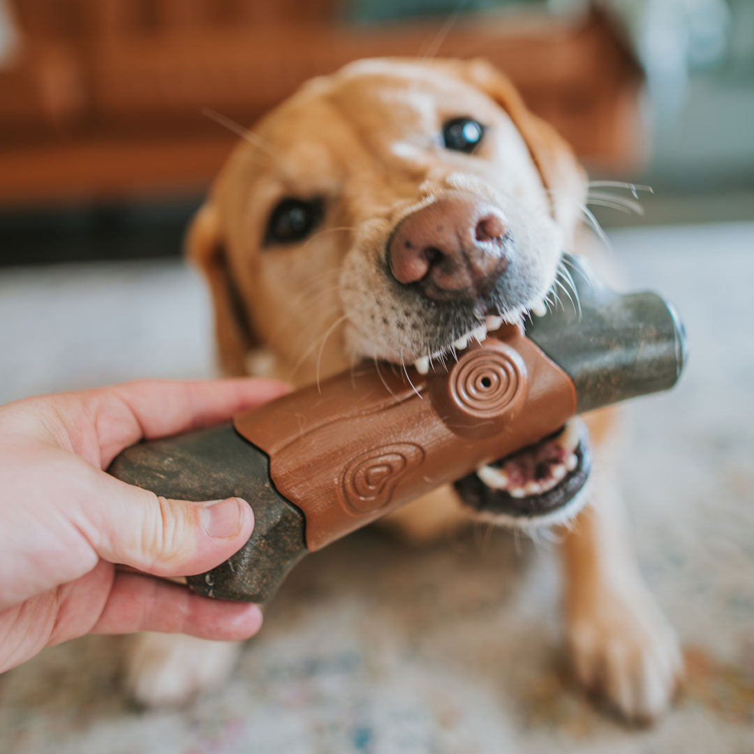 Tree Branch Extreme Power Chew