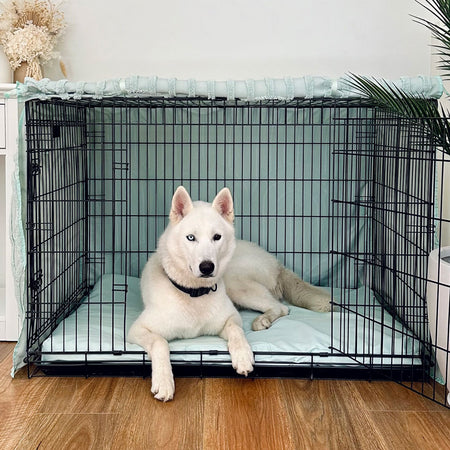 Sage Rainbow Tufted Basic Crate Cover