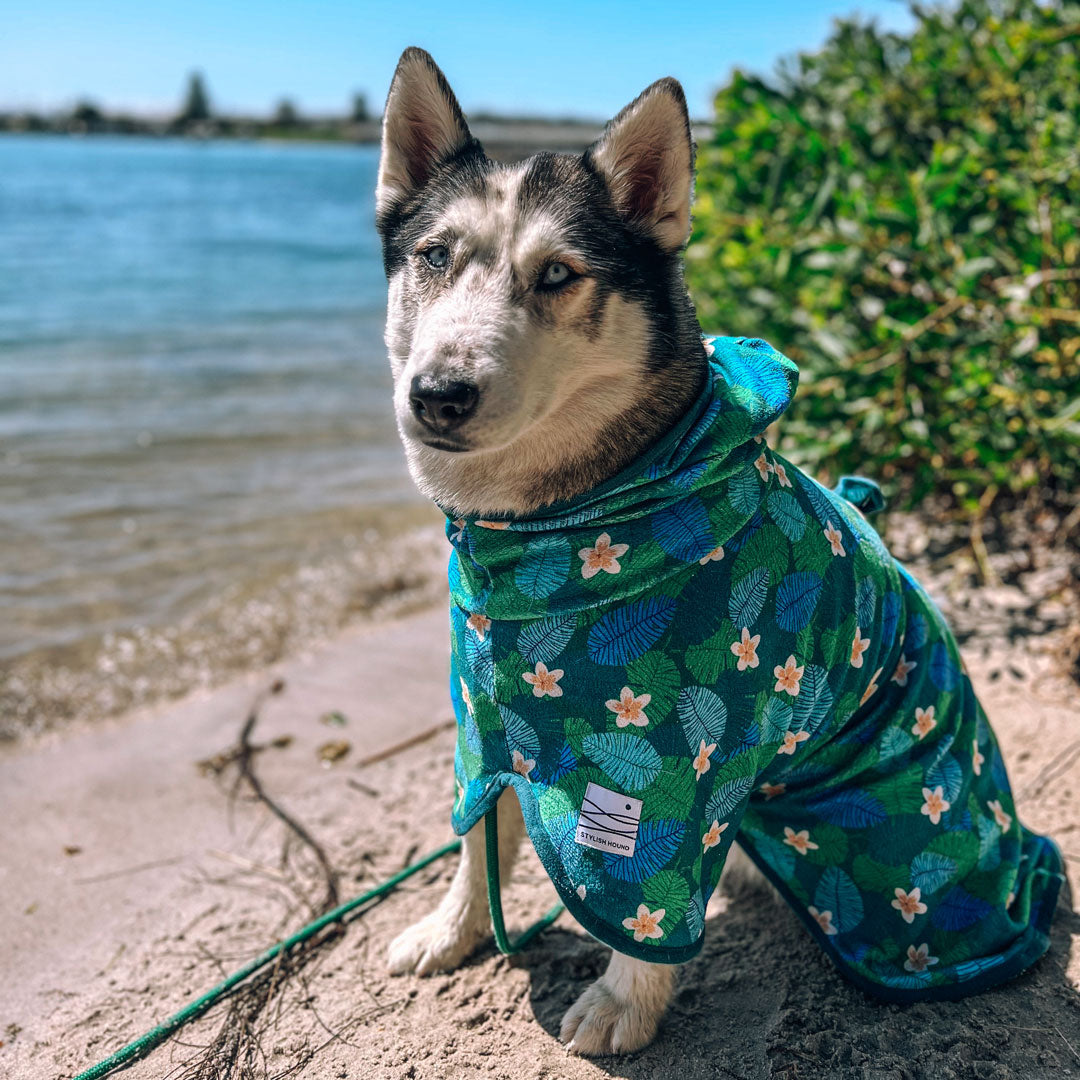 $20 Dog Robes