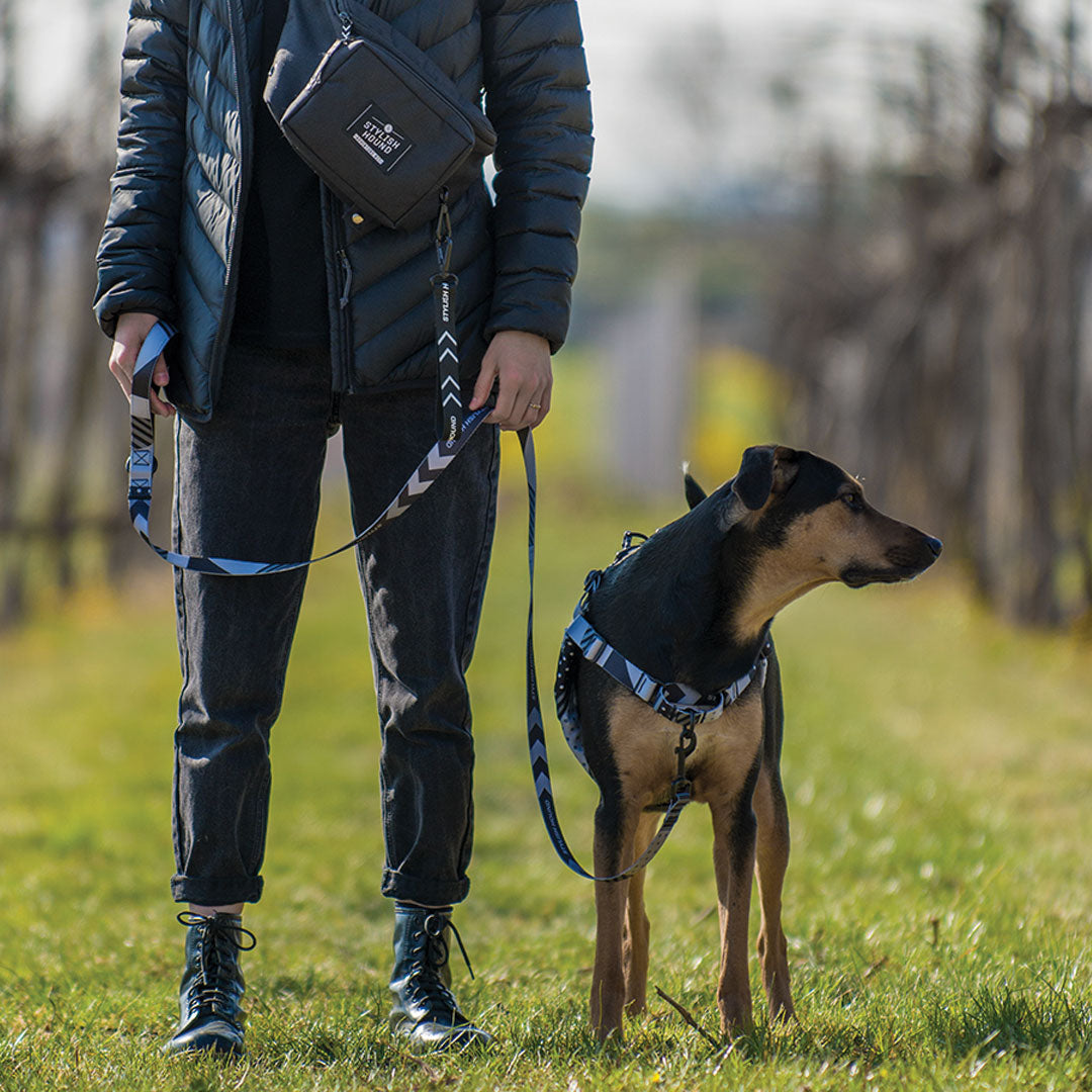 Graphite Leash - Graphite