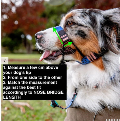 Chrome Halter - Chrome