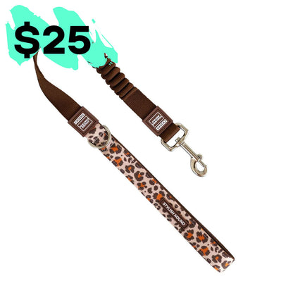 Cruise Control Obedience Leash