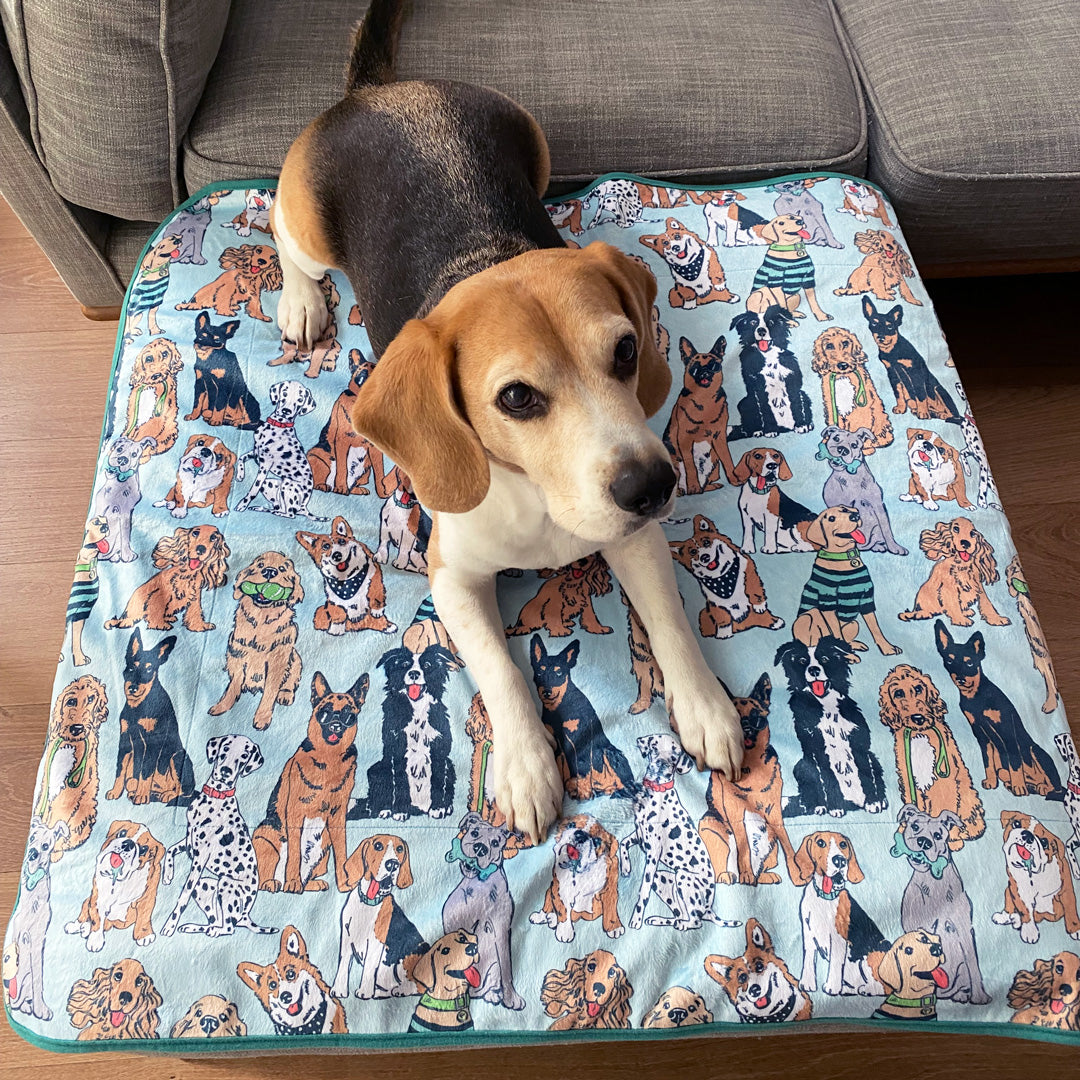 Woof Pack Crate Blanket