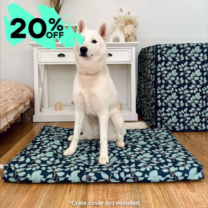 Mattress & Mattress Cover - SALE