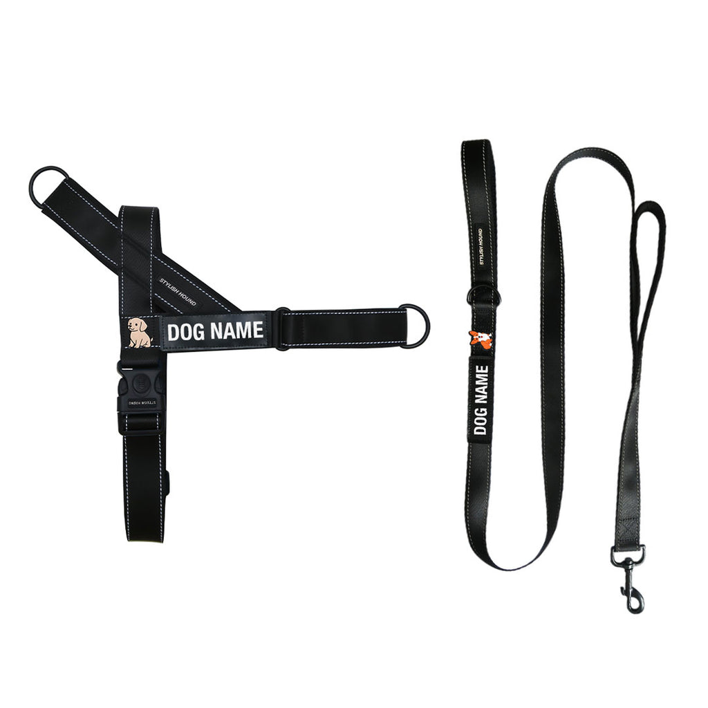 Jet Black Personalised No-Pull Harness