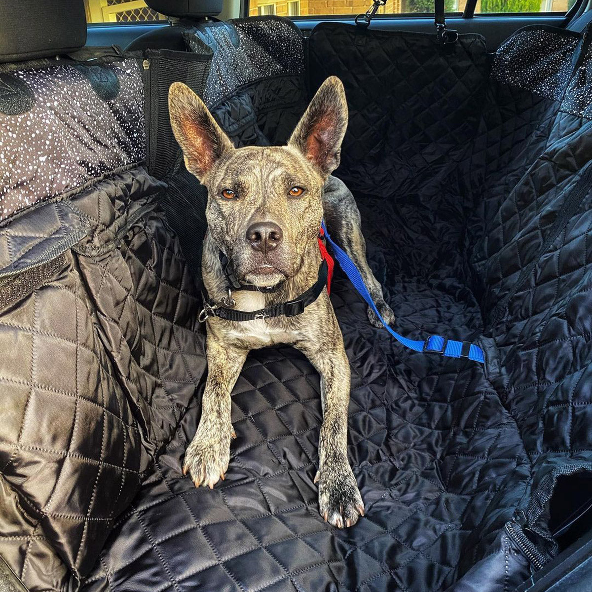 Back Seat Cover Bundle