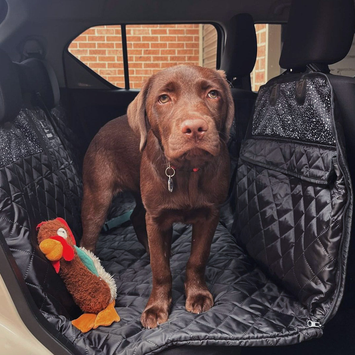 Back Seat Cover Bundle