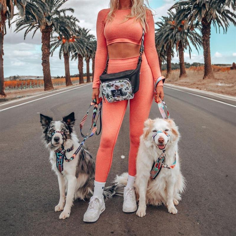 Halter + Safety Clip