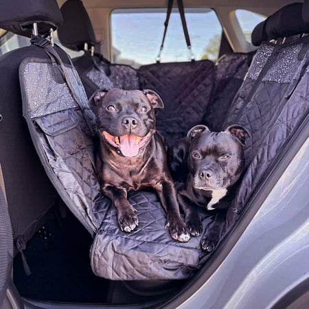 Jackson Back Seat Cover w Travel Bag