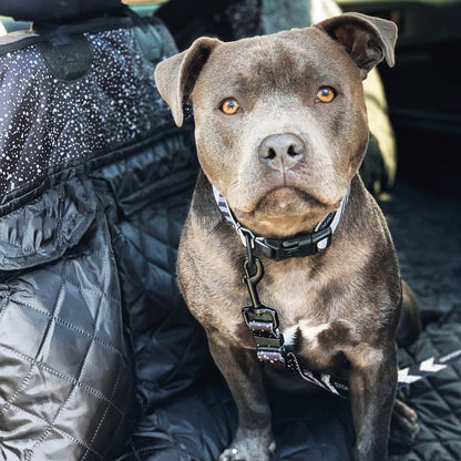 Back Seat Cover Bundle