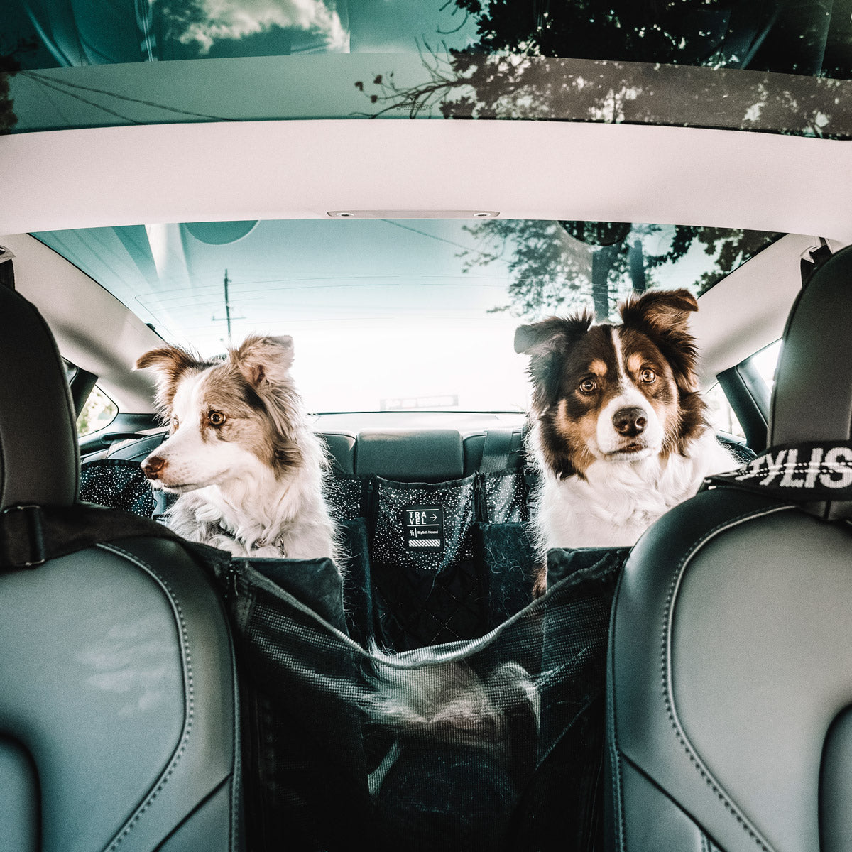 Back Seat Cover Bundle