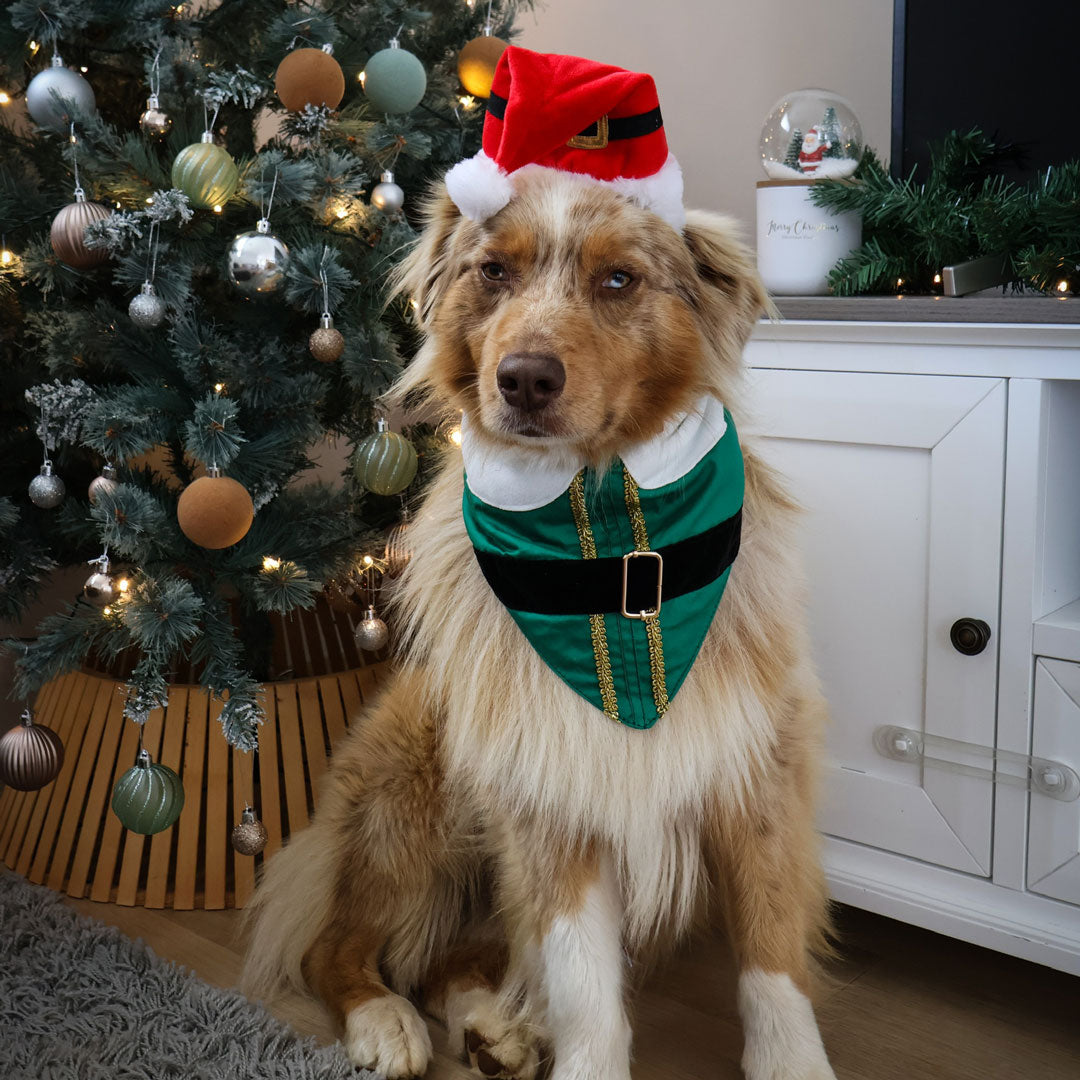 Buddy The Elf Bandana