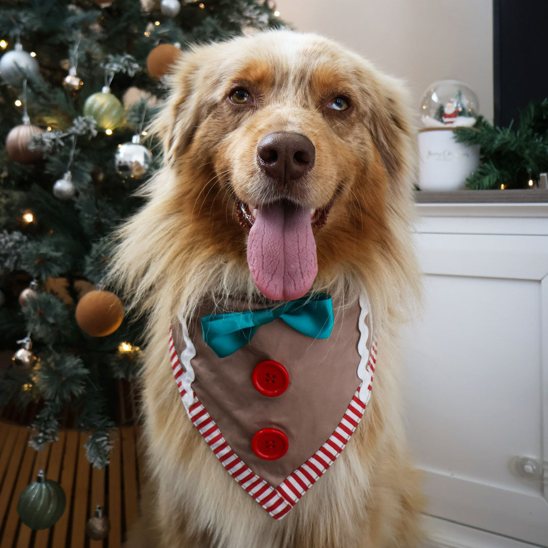 Gingerbread Bandana