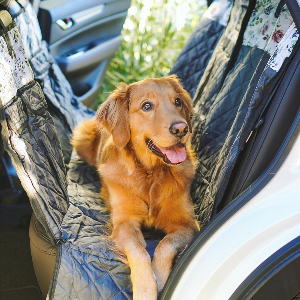 Evergreen Back Seat Cover w Travel Bag