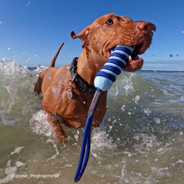 Fresh Blue Hydro Float Stick