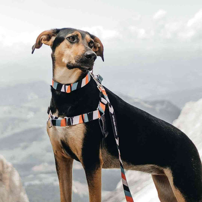 Superfly Leash