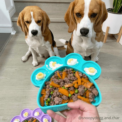 2in1 Lick Bowl Slow Feeder