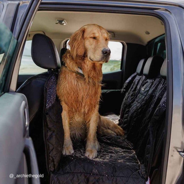 Jackson Back Seat Cover w Travel Bag