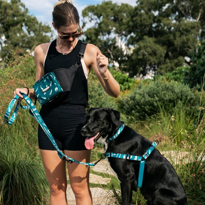 Nova RNT No-Pull Training Harness