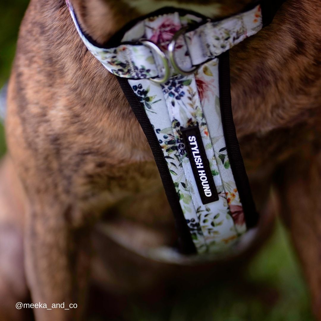 Evergreen Explorer Chest Plate - Evergreen