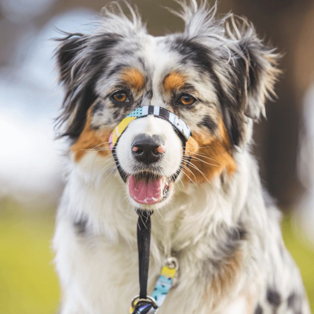 High Top Halter - High Top