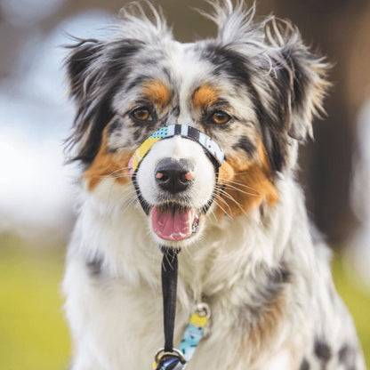 High Top Halter - High Top