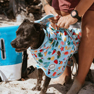 Malibu Dog Robe