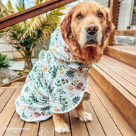 Evergreen Dog Robe