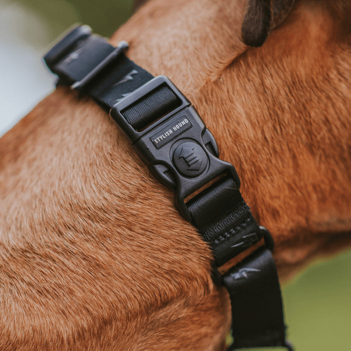 Blackout Martingale Training Collar